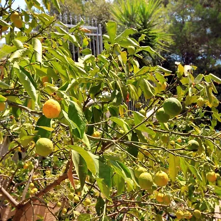 By The Sea Vela Luka, Korcula - 159 Vela Luka