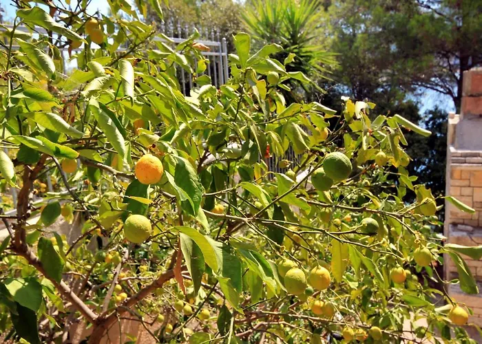 By The Sea Vela Luka, Korcula - 159 Vela Luka